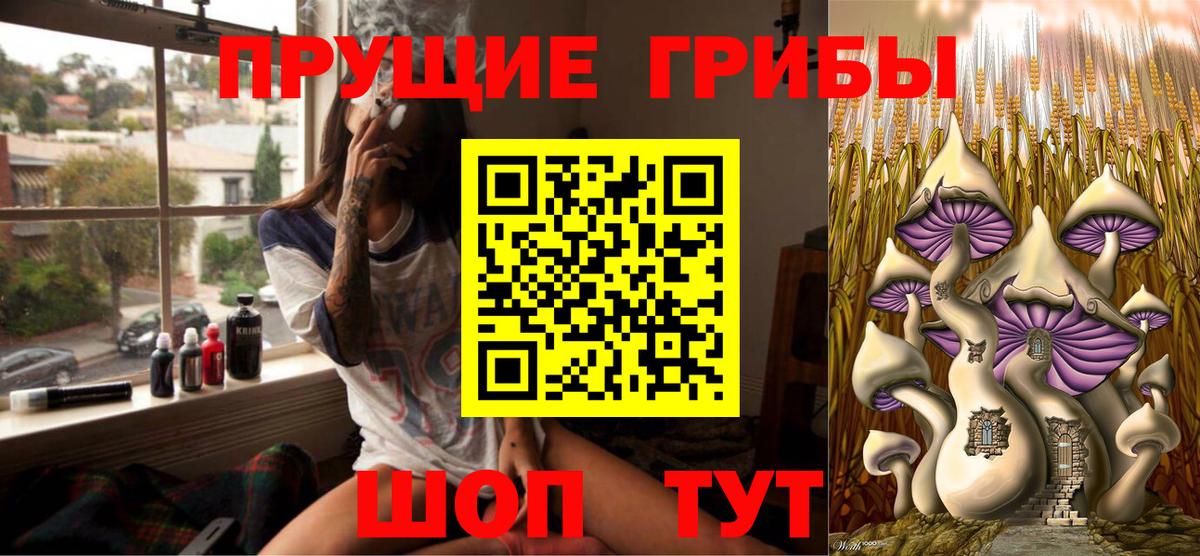Галлюциногенные грибы Cubensis  Вход с VPN  Галлюциногенные грибы прущие грибы  Киреевск 